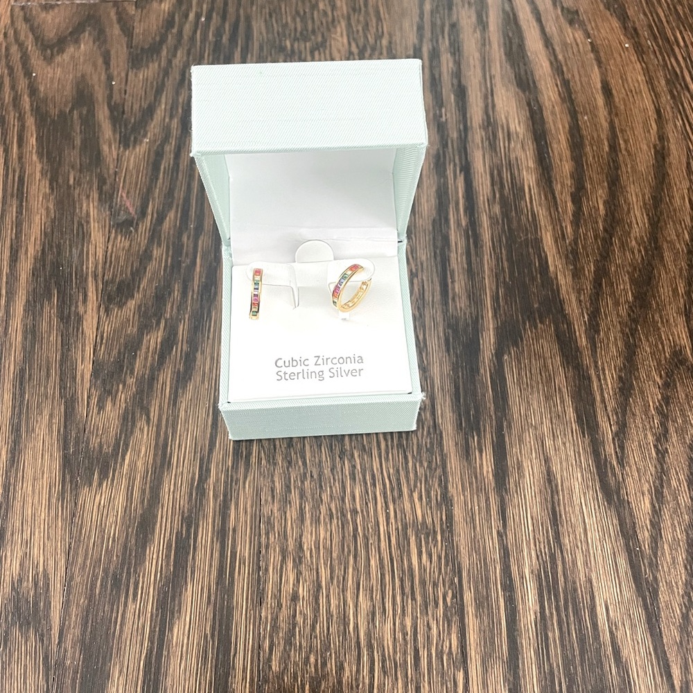 Nanette rainbow hoops